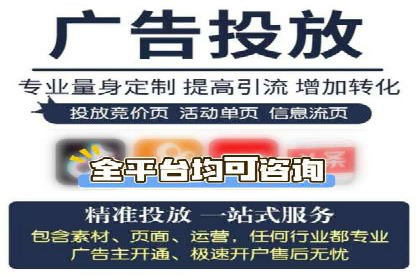 行业领先企业的SEM运营策略案例解析